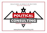 Draw_POLITICAL CONSULTING